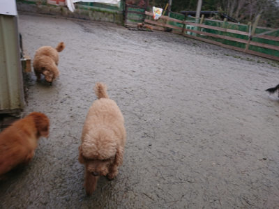 f:id:roukenhome-ann:20190217080739j:plain