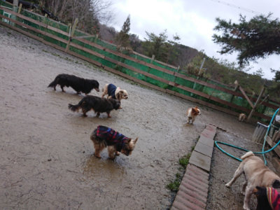 f:id:roukenhome-ann:20190217080809j:plain