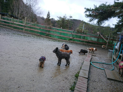 f:id:roukenhome-ann:20190217080814j:plain