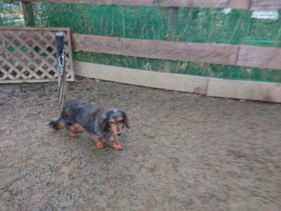 f:id:roukenhome-ann:20190217080835j:plain