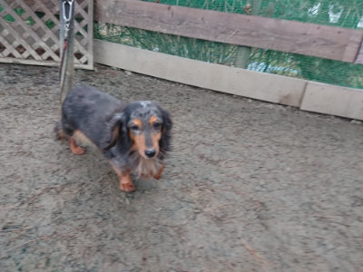 f:id:roukenhome-ann:20190217080841j:plain