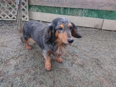 f:id:roukenhome-ann:20190217080846j:plain