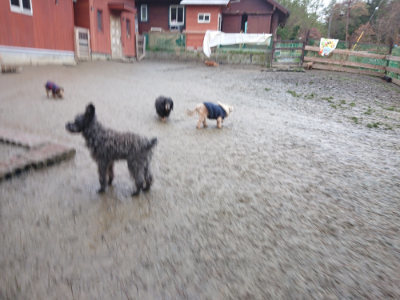 f:id:roukenhome-ann:20190217080852j:plain