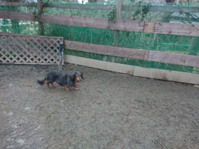 f:id:roukenhome-ann:20190217080925j:plain