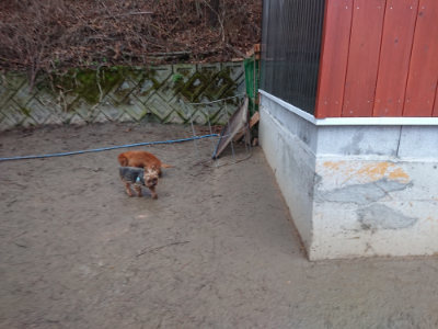 f:id:roukenhome-ann:20190217081043j:plain