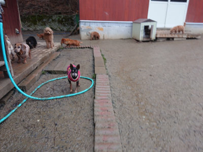 f:id:roukenhome-ann:20190217081215j:plain