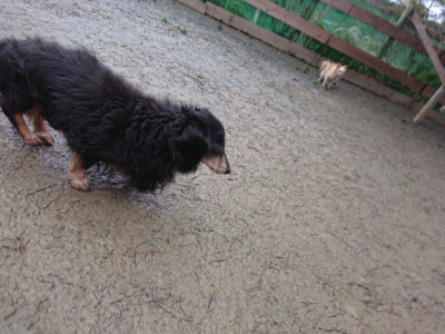 f:id:roukenhome-ann:20190217081225j:plain