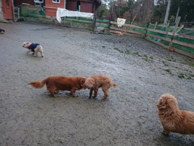 f:id:roukenhome-ann:20190217081315j:plain