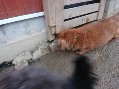 f:id:roukenhome-ann:20190217081344j:plain