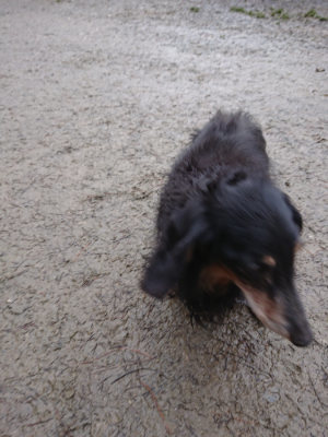 f:id:roukenhome-ann:20190217081427j:plain