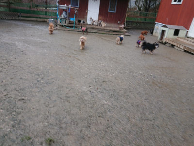 f:id:roukenhome-ann:20190217081444j:plain