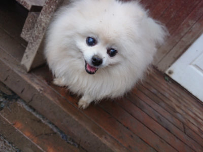 f:id:roukenhome-ann:20190217082952j:plain