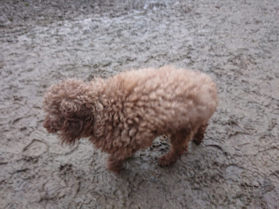 f:id:roukenhome-ann:20190217083004j:plain