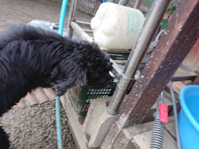 f:id:roukenhome-ann:20190217083222j:plain