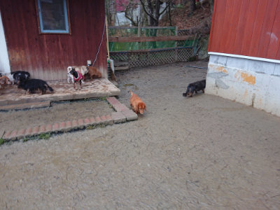 f:id:roukenhome-ann:20190217083456j:plain