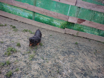 f:id:roukenhome-ann:20190217083502j:plain