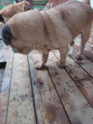 f:id:roukenhome-ann:20190217083601j:plain