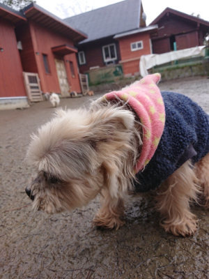 f:id:roukenhome-ann:20190217083614j:plain