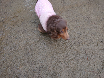 f:id:roukenhome-ann:20190217083619j:plain