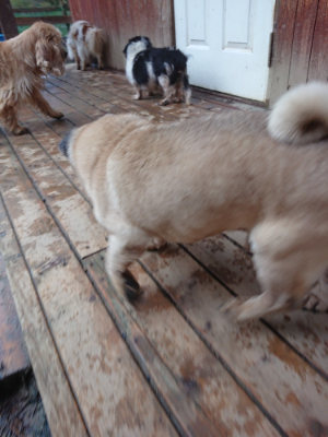 f:id:roukenhome-ann:20190217083626j:plain