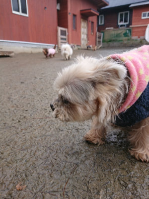 f:id:roukenhome-ann:20190217083644j:plain