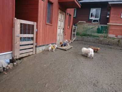 f:id:roukenhome-ann:20190217083656j:plain