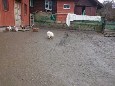f:id:roukenhome-ann:20190217083712j:plain