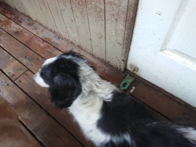 f:id:roukenhome-ann:20190217083734j:plain