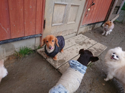 f:id:roukenhome-ann:20190217083801j:plain