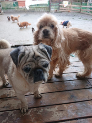f:id:roukenhome-ann:20190217083819j:plain