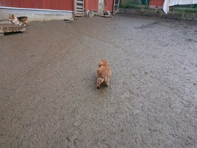f:id:roukenhome-ann:20190217083825j:plain