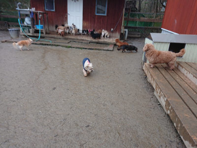 f:id:roukenhome-ann:20190217083849j:plain