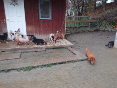 f:id:roukenhome-ann:20190217083855j:plain
