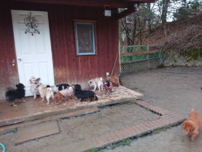 f:id:roukenhome-ann:20190217083901j:plain
