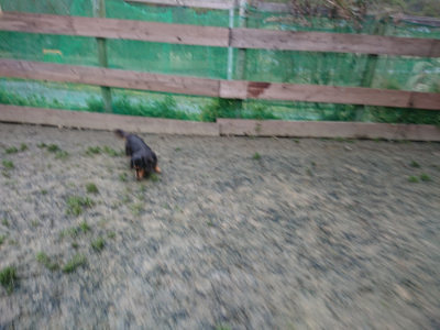 f:id:roukenhome-ann:20190217084054j:plain