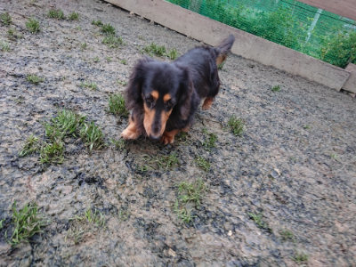 f:id:roukenhome-ann:20190217084124j:plain