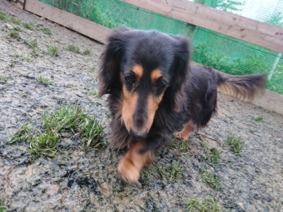 f:id:roukenhome-ann:20190217084130j:plain