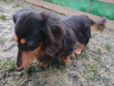 f:id:roukenhome-ann:20190217084134j:plain
