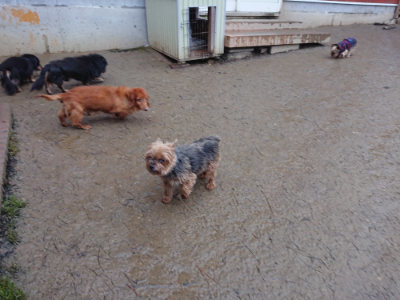 f:id:roukenhome-ann:20190217084207j:plain