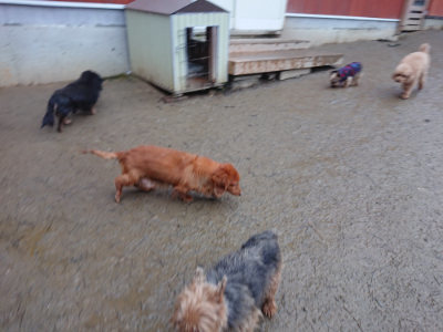 f:id:roukenhome-ann:20190217084212j:plain