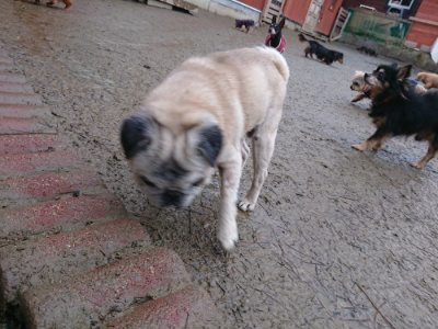 f:id:roukenhome-ann:20190217084241j:plain
