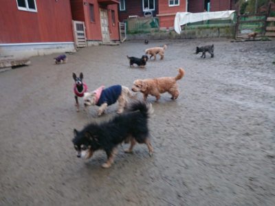 f:id:roukenhome-ann:20190217084248j:plain