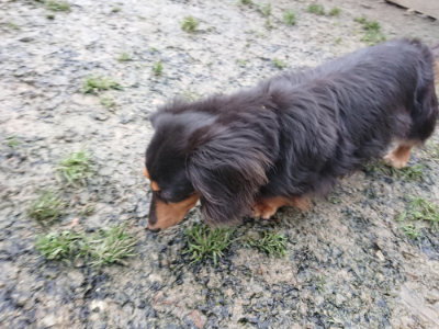 f:id:roukenhome-ann:20190217084253j:plain