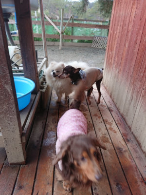 f:id:roukenhome-ann:20190217084307j:plain