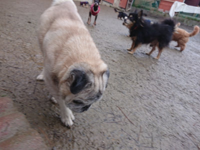 f:id:roukenhome-ann:20190217084313j:plain