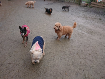 f:id:roukenhome-ann:20190217084318j:plain