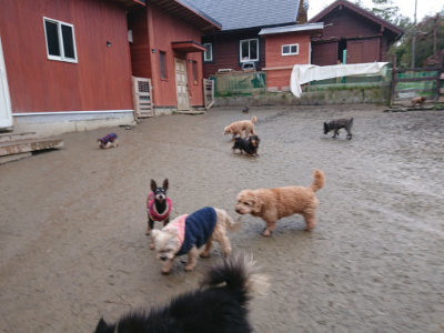 f:id:roukenhome-ann:20190217084345j:plain