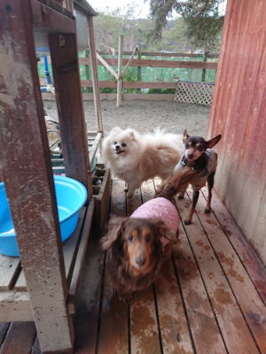 f:id:roukenhome-ann:20190217084408j:plain