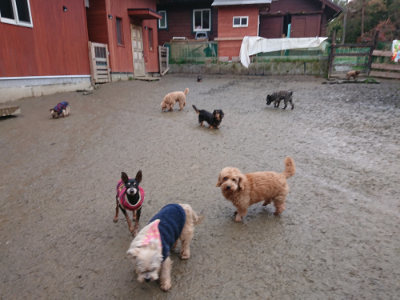 f:id:roukenhome-ann:20190217084419j:plain