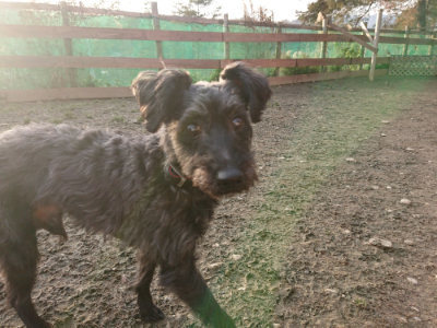 f:id:roukenhome-ann:20190218202158j:plain